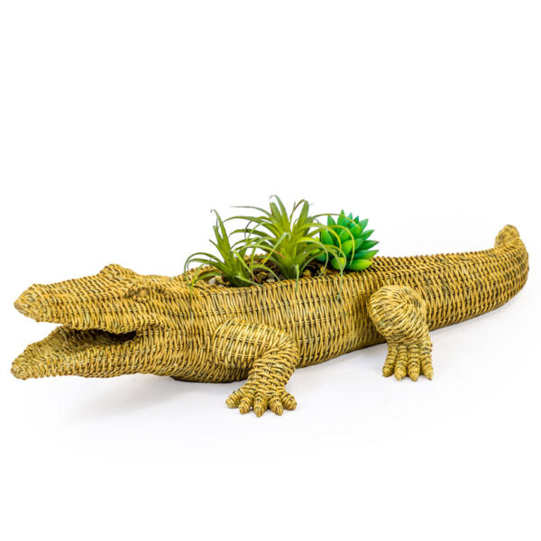Crocodile plant holder