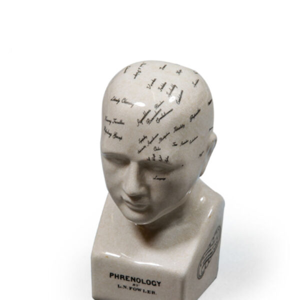 Antiqued Ceramic Phrenology Head